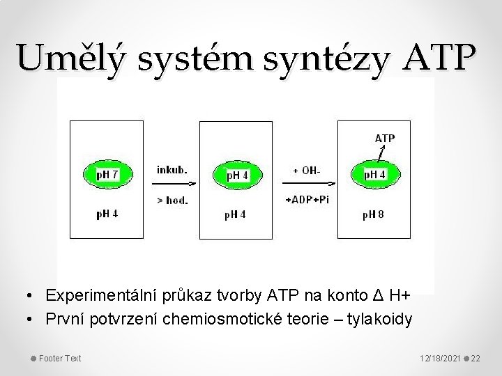 Umělý systém syntézy ATP • Experimentální průkaz tvorby ATP na konto Δ H+ •