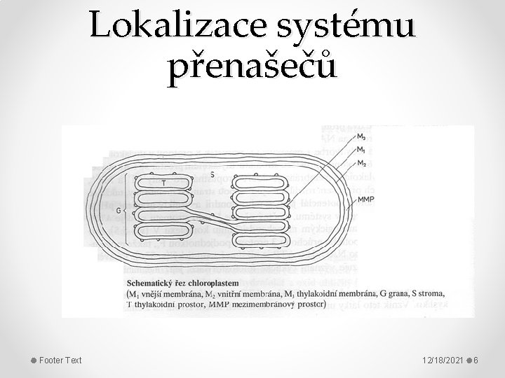 Lokalizace systému přenašečů Footer Text 12/18/2021 6 