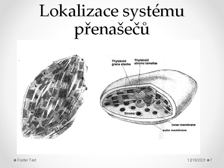 Lokalizace systému přenašečů Footer Text 12/18/2021 7 