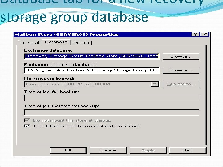 Database tab for a new recovery storage group database 