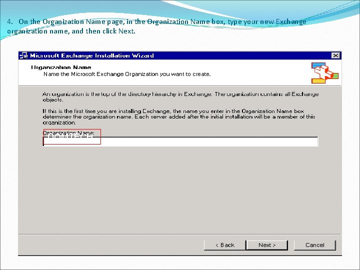 4. On the Organization Name page, in the Organization Name box, type your new