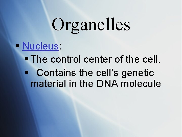 Organelles § Nucleus: § The control center of the cell. § Contains the cell’s
