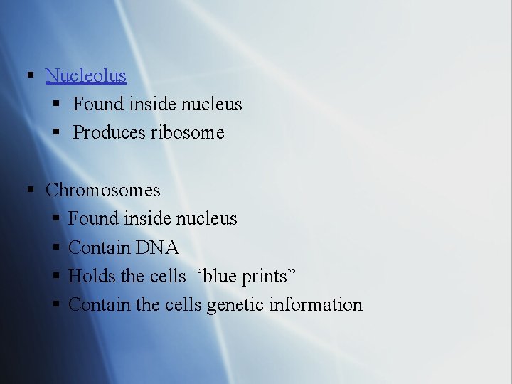 § Nucleolus § Found inside nucleus § Produces ribosome § Chromosomes § Found inside