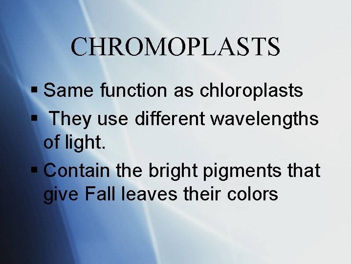 CHROMOPLASTS § Same function as chloroplasts § They use different wavelengths of light. §
