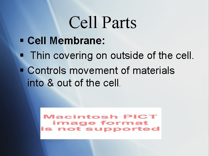 Cell Parts § Cell Membrane: § Thin covering on outside of the cell. §