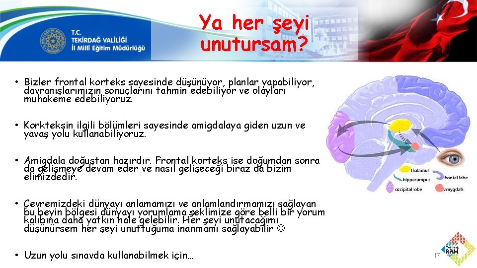 Ya her şeyi unutursam? • Bizler frontal korteks sayesinde düşünüyor, planlar yapabiliyor, davranışlarımızın sonuçlarını