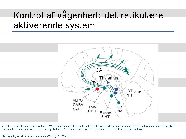 Kontrol af vågenhed: det retikulære aktiverende system DA VLPO = Ventrolateral preoptic nucleus; TMN