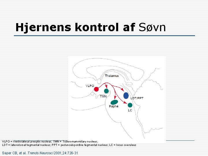 Hjernens kontrol af Søvn VLPO = Ventrolateral preoptic nucleus; TMN = Tuberomammillary nucleus; LDT