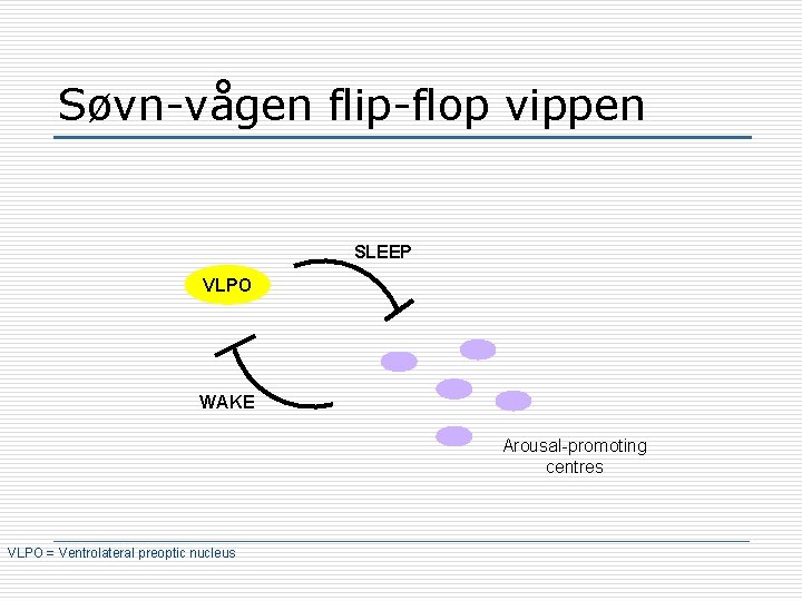 Søvn-vågen flip-flop vippen SLEEP VLPO WAKE Arousal-promoting centres VLPO = Ventrolateral preoptic nucleus 