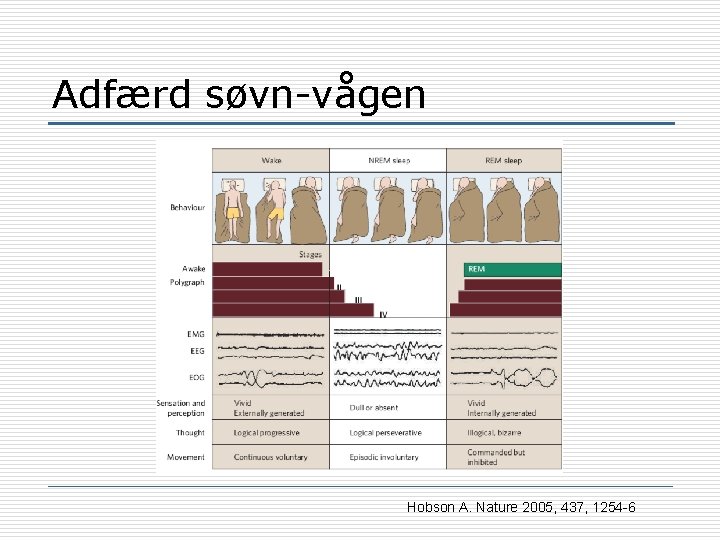 Adfærd søvn-vågen Hobson A. Nature 2005, 437, 1254 -6 