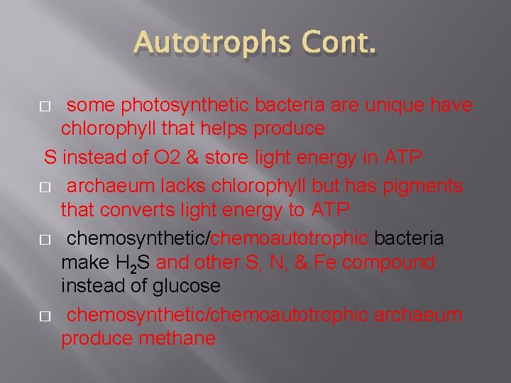 Autotrophs Cont. some photosynthetic bacteria are unique have chlorophyll that helps produce S instead