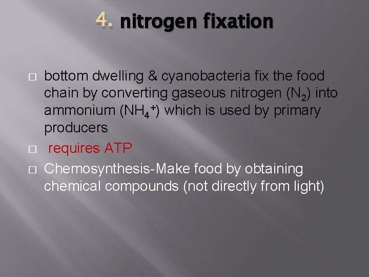 4. nitrogen fixation � � � bottom dwelling & cyanobacteria fix the food chain