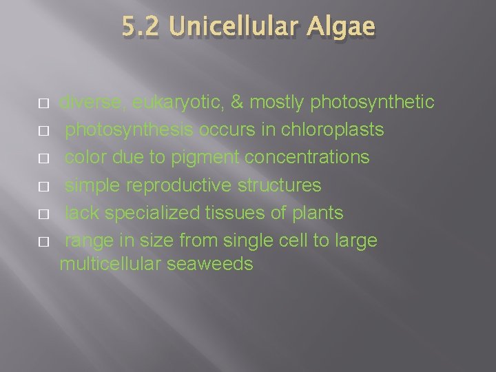 5. 2 Unicellular Algae � � � diverse, eukaryotic, & mostly photosynthetic photosynthesis occurs