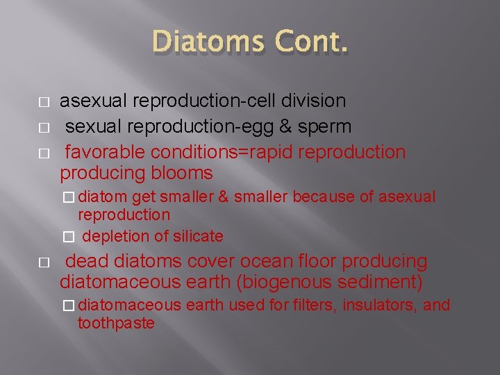 Diatoms Cont. � � � asexual reproduction-cell division sexual reproduction-egg & sperm favorable conditions=rapid