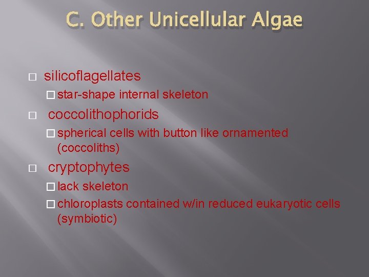 C. Other Unicellular Algae � silicoflagellates � star-shape � internal skeleton coccolithophorids � spherical