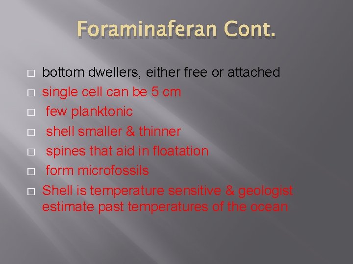 Foraminaferan Cont. � � � � bottom dwellers, either free or attached single cell