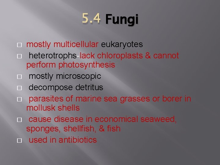 5. 4 Fungi � � � � mostly multicellular eukaryotes heterotrophs-lack chloroplasts & cannot