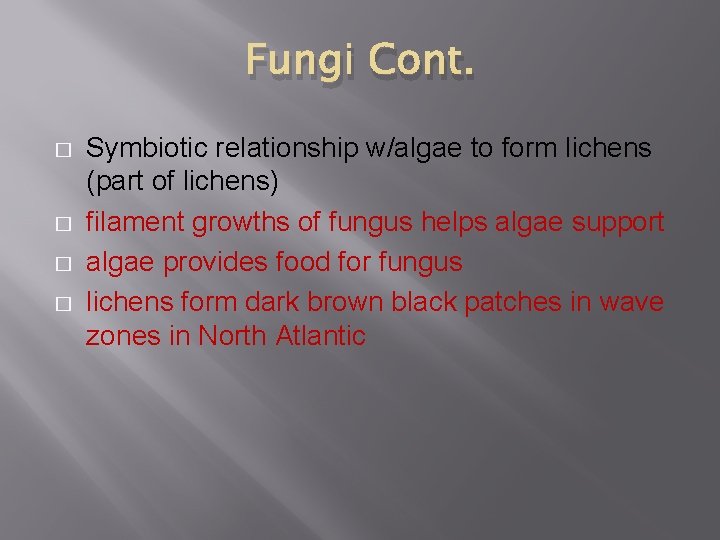 Fungi Cont. � � Symbiotic relationship w/algae to form lichens (part of lichens) filament