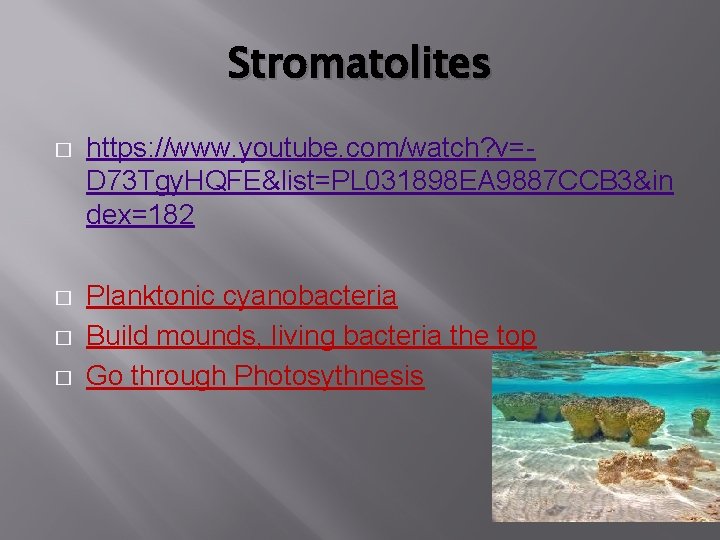 Stromatolites � https: //www. youtube. com/watch? v=D 73 Tgy. HQFE&list=PL 031898 EA 9887 CCB
