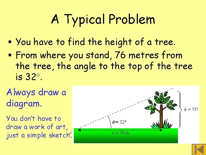 A Typical Problem § You have to find the height of a tree. §