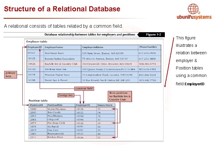 Structure of a Relational Database A relational consists of tables related by a common