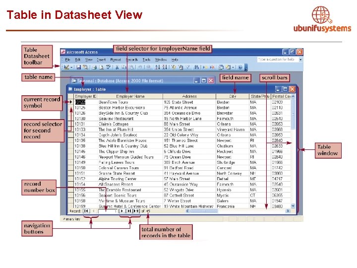 Table in Datasheet View 