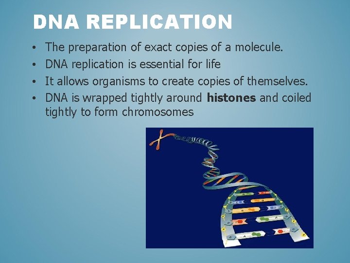 DNA REPLICATION • • The preparation of exact copies of a molecule. DNA replication