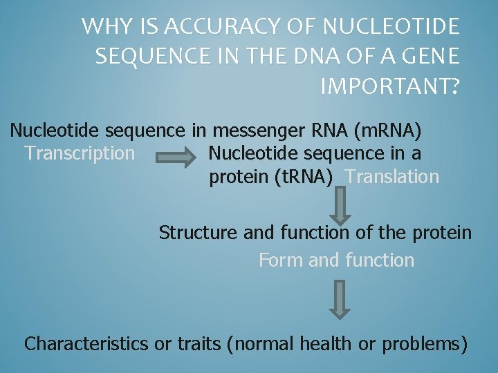 WHY IS ACCURACY OF NUCLEOTIDE SEQUENCE IN THE DNA OF A GENE IMPORTANT? Nucleotide