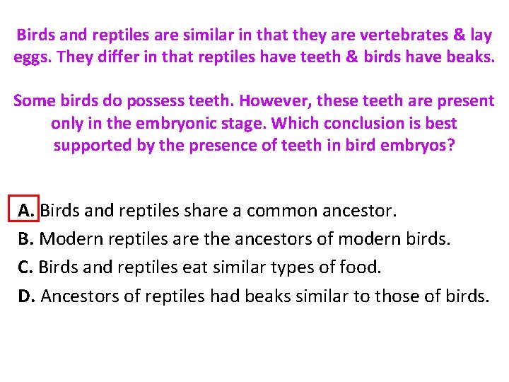 Birds and reptiles are similar in that they are vertebrates & lay eggs. They