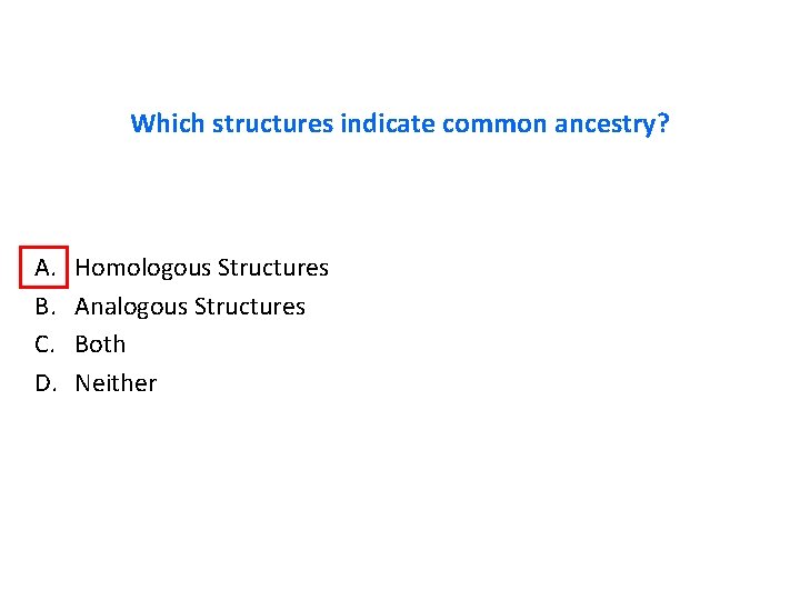 Which structures indicate common ancestry? A. B. C. D. Homologous Structures Analogous Structures Both