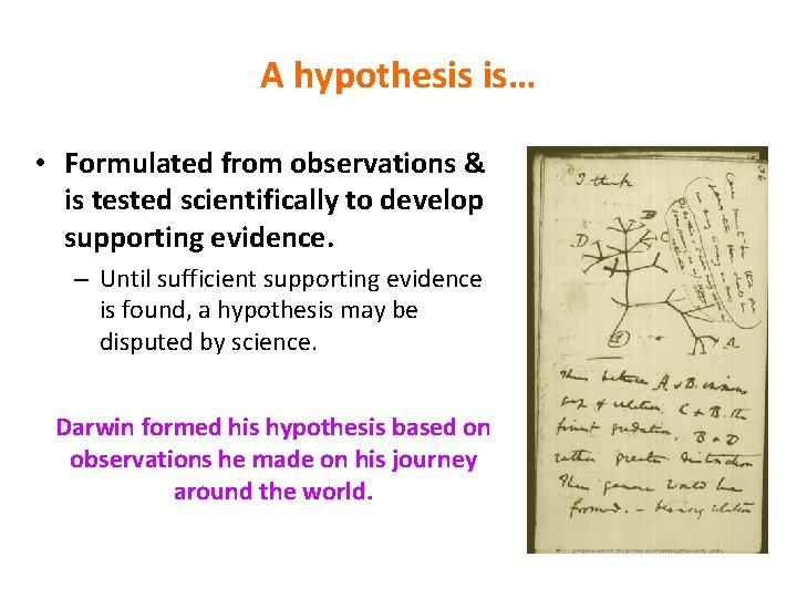 A hypothesis is… • Formulated from observations & is tested scientifically to develop supporting