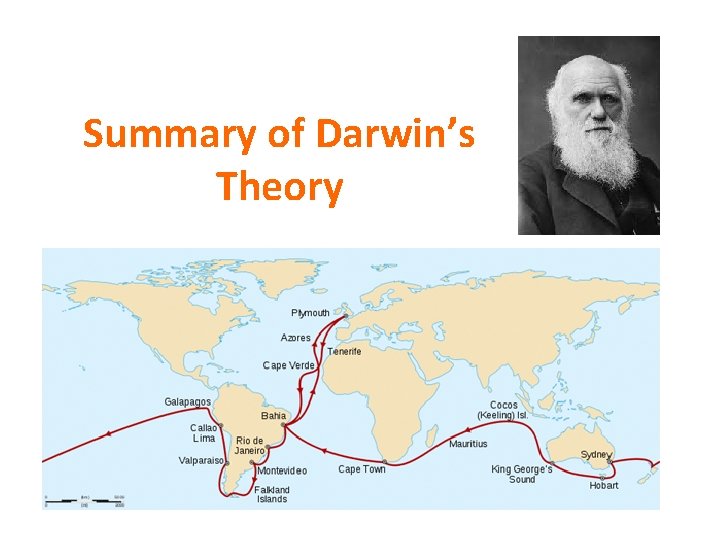 Summary of Darwin’s Theory 