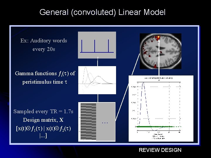 General (convoluted) Linear Model Ex: Auditory words every 20 s Gamma functions ƒi( )