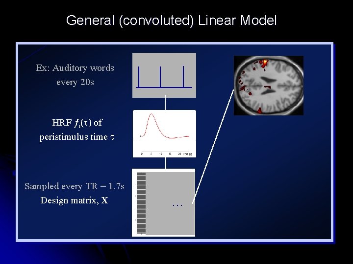 General (convoluted) Linear Model Ex: Auditory words every 20 s HRF ƒi( ) of