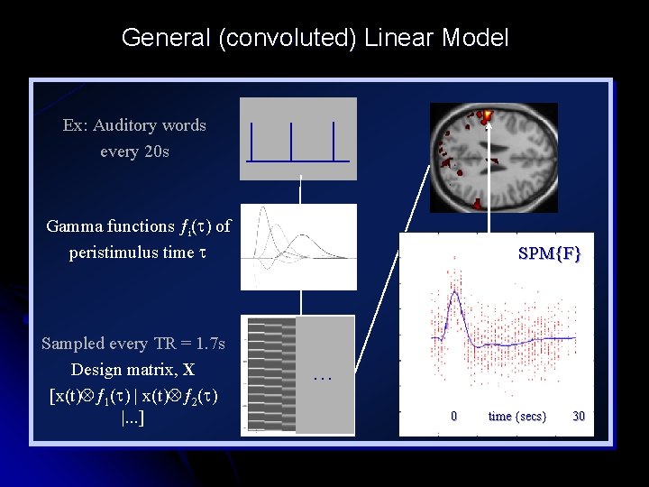 General (convoluted) Linear Model Ex: Auditory words every 20 s Gamma functions ƒi( )