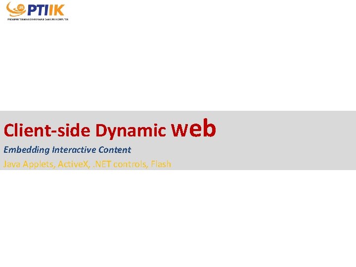 Client-side Dynamic Web Embedding Interactive Content Java Applets, Active. X, . NET controls, Flash