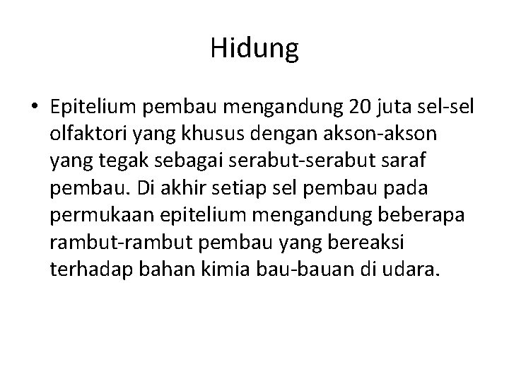 Hidung • Epitelium pembau mengandung 20 juta sel-sel olfaktori yang khusus dengan akson-akson yang