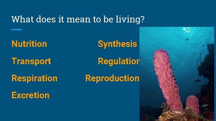 What does it mean to be living? Nutrition Synthesis Transport Regulation Respiration Excretion Reproduction