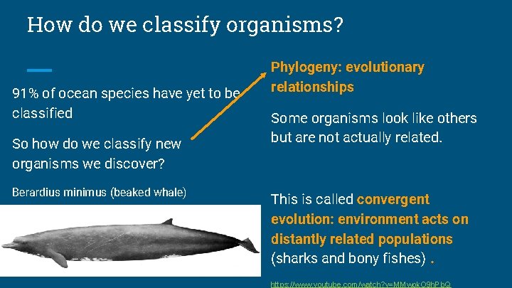 How do we classify organisms? 91% of ocean species have yet to be classified