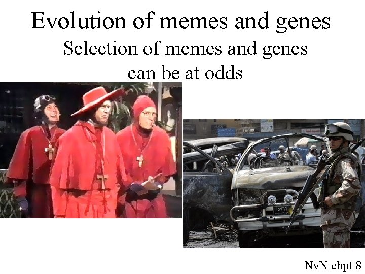 Evolution of memes and genes Selection of memes and genes can be at odds