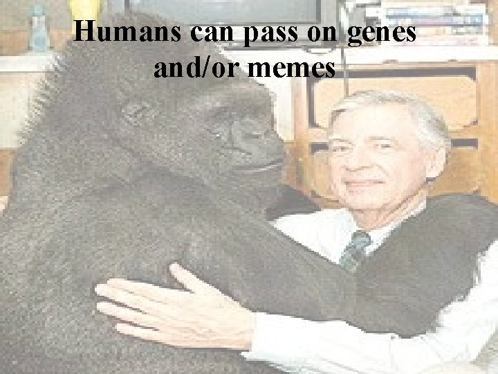 Humans can pass on genes and/or memes 