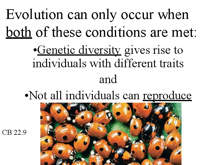 Evolution can only occur when both of these conditions are met: • Genetic diversity