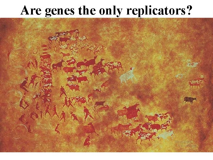Are genes the only replicators? 