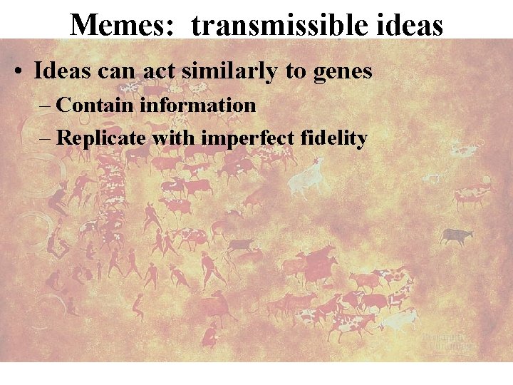 Memes: transmissible ideas • Ideas can act similarly to genes – Contain information –