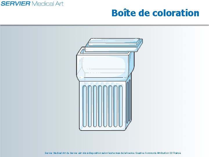Boîte de coloration Servier Medical Art de Servier est mis à disposition selon les