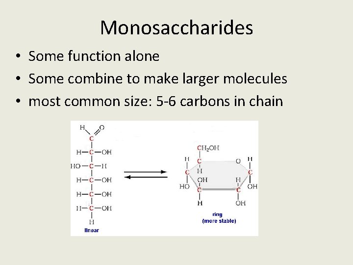 Monosaccharides • Some function alone • Some combine to make larger molecules • most
