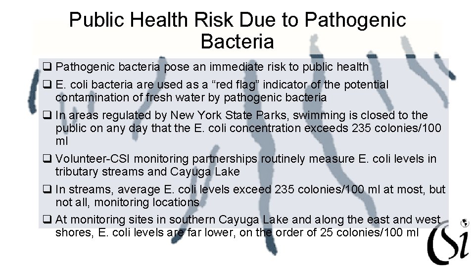 Public Health Risk Due to Pathogenic Bacteria q Pathogenic bacteria pose an immediate risk
