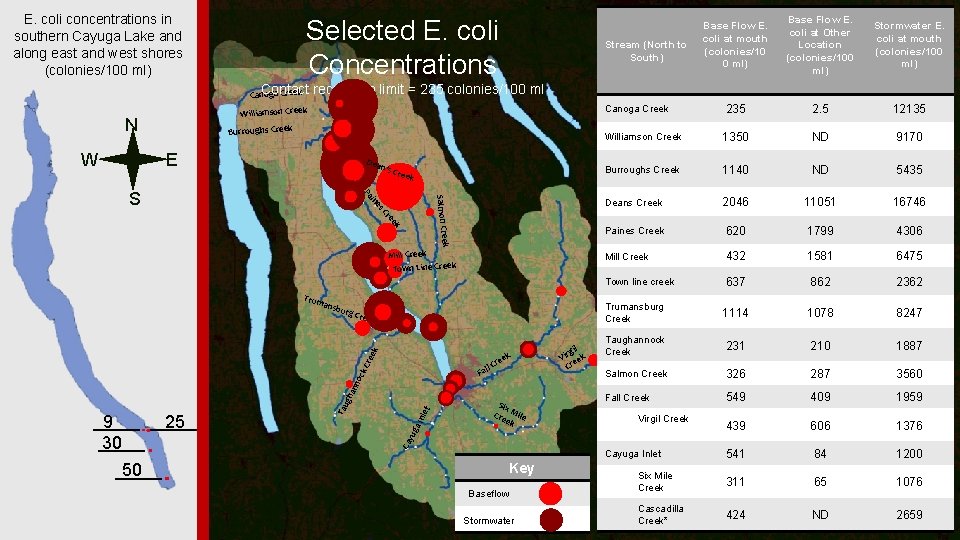 E. coli concentrations in southern Cayuga Lake and along east and west shores (colonies/100
