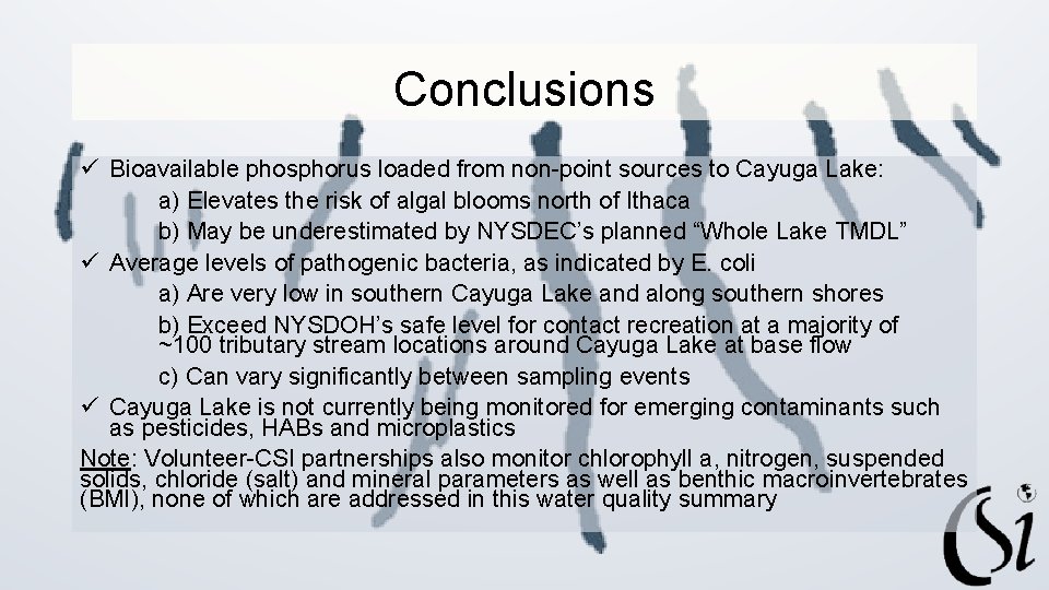 Conclusions ü Bioavailable phosphorus loaded from non-point sources to Cayuga Lake: a) Elevates the