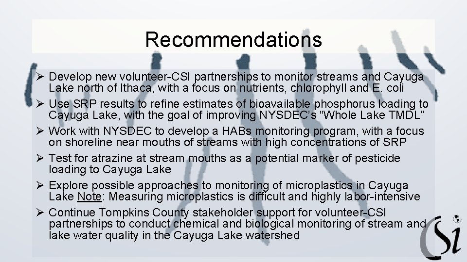 Recommendations Ø Develop new volunteer-CSI partnerships to monitor streams and Cayuga Lake north of
